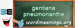 WordMeaning blackboard for gentiana pneumonanthe